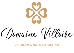 Domaine Villoire Logo